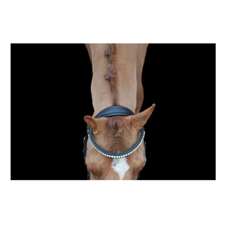 Cameo EcoRider Ultra Comfort Navan Bridle Full in Brown-2